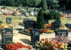 PhRetterathCemetery195.jpg (10130 bytes)