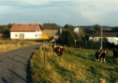 PhSalcherathTown195.jpg (9262 bytes)